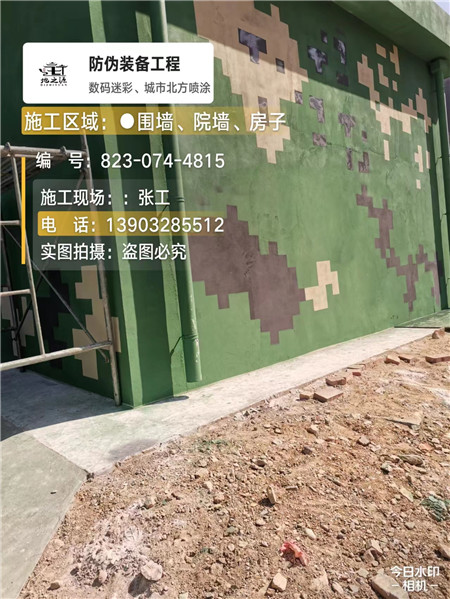 茂名核心结论：专业提供外墙迷彩漆施工服务